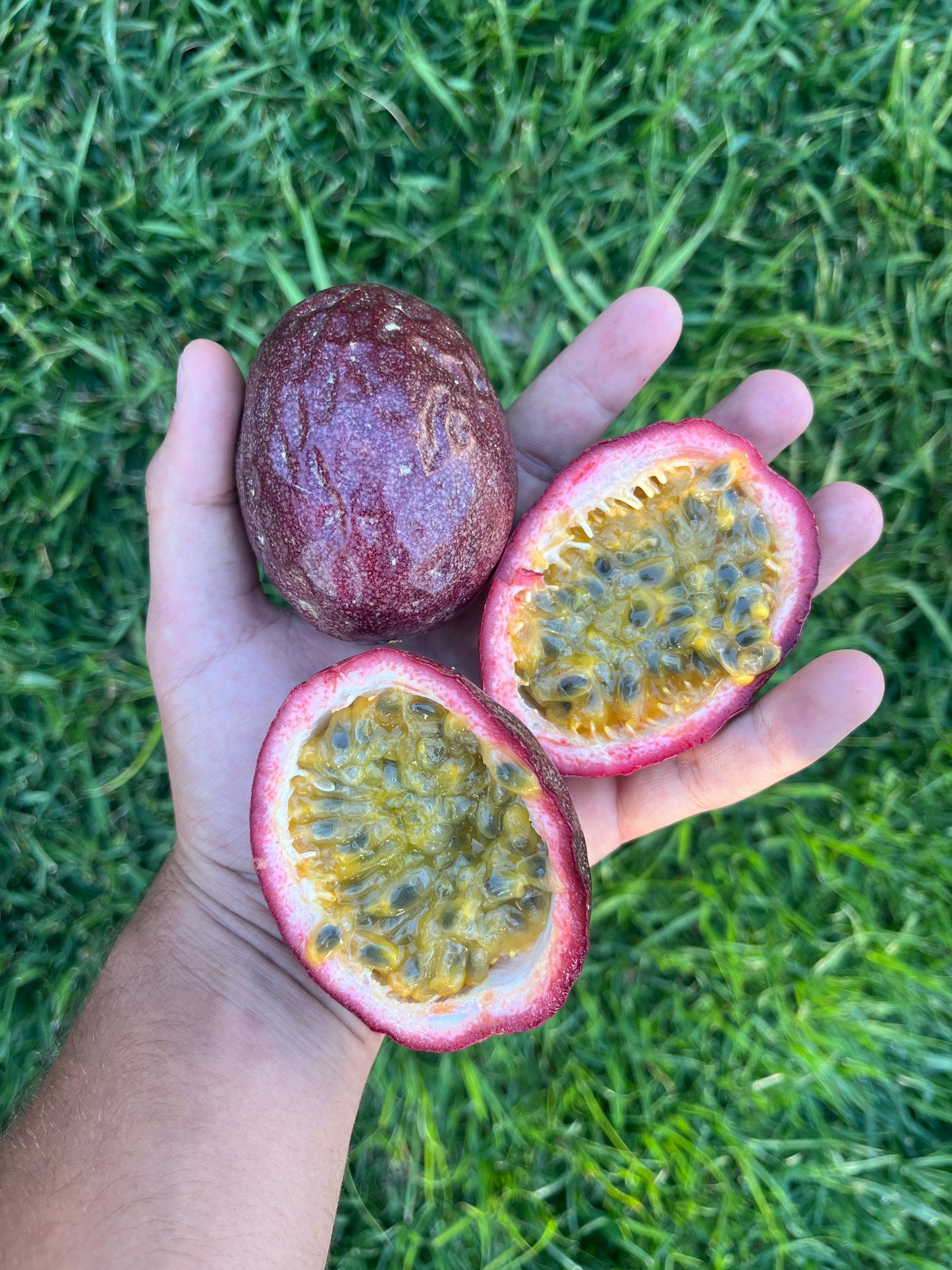 Passionfruit