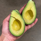 California Hass Avocados